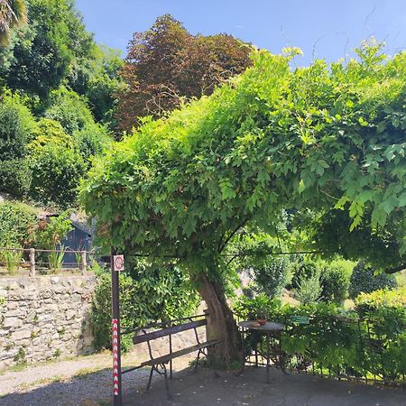 Villa Antonella, App. Vittoria Tavernerio Dış mekan fotoğraf