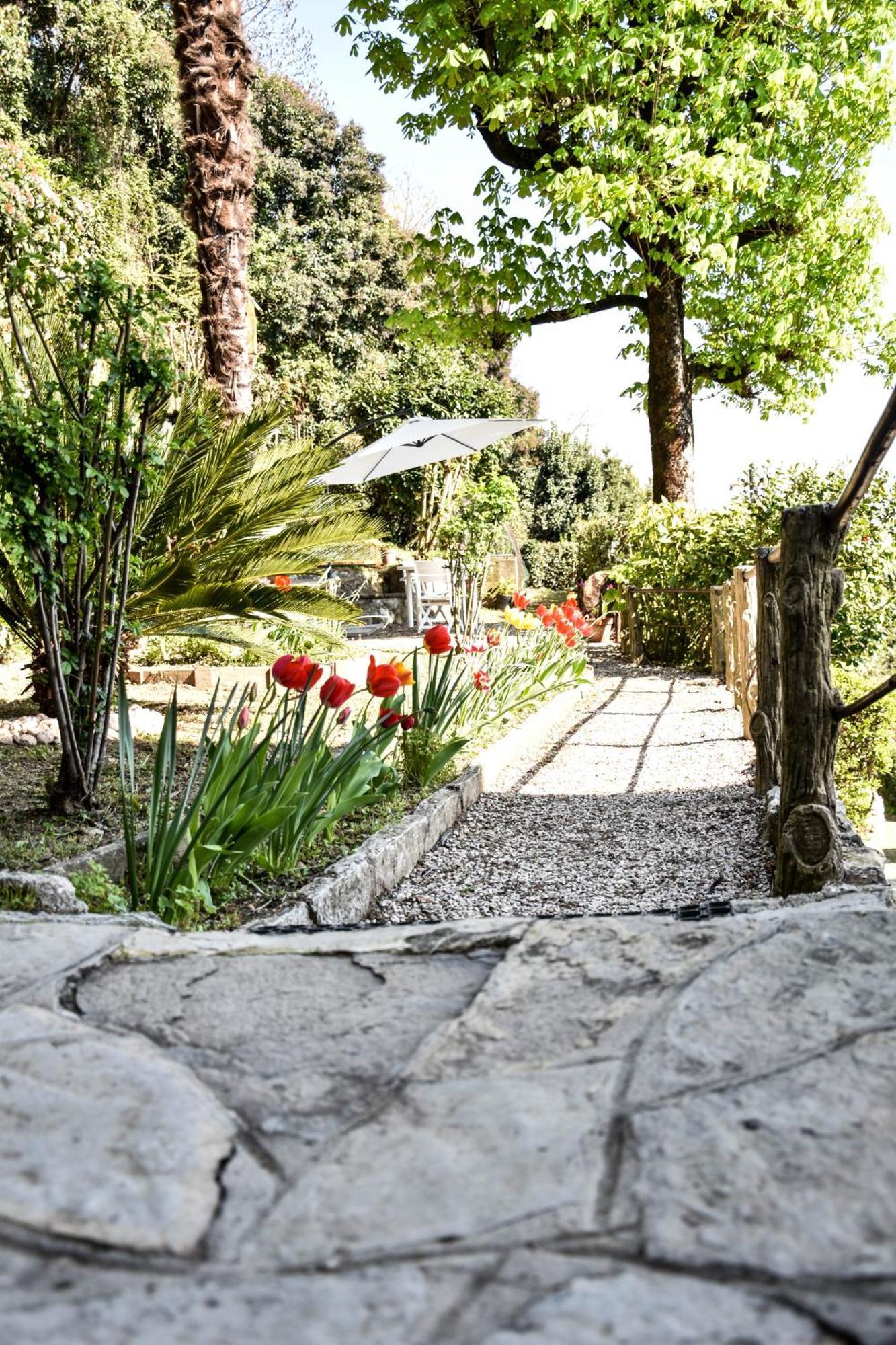 Villa Antonella, App. Vittoria Tavernerio Dış mekan fotoğraf